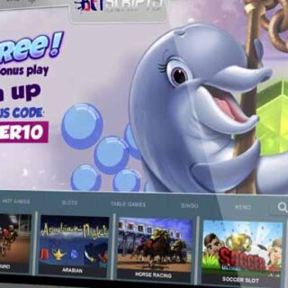 Flipper Casino and virtual sports script system Nulled Warez